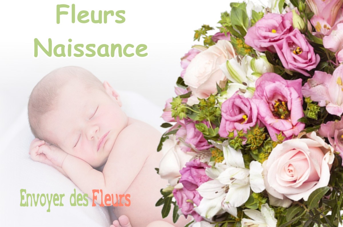 lIVRAISON FLEURS NAISSANCE à LA-SALVETAT-SAINT-GILLES