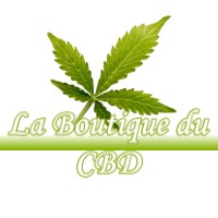 LA BOUTIQUE DU CBD LA-SALVETAT-SAINT-GILLES 